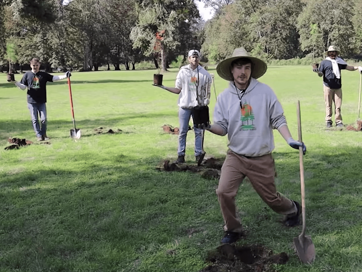 YouTuber MrBeast's TreePlanting Campaign Hits 20 Million Goal Early