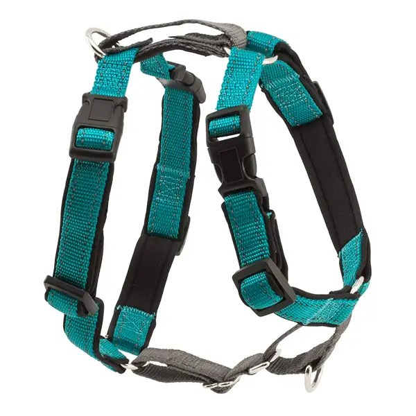 Best Dog Harnesses in 2021, According to Experts