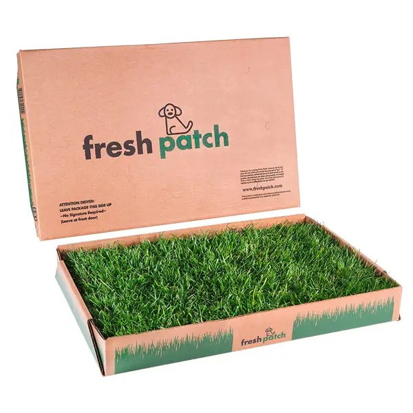 Best Puppy PottyTraining Gear and Pads in 2021 MidWest, Zuke's & More