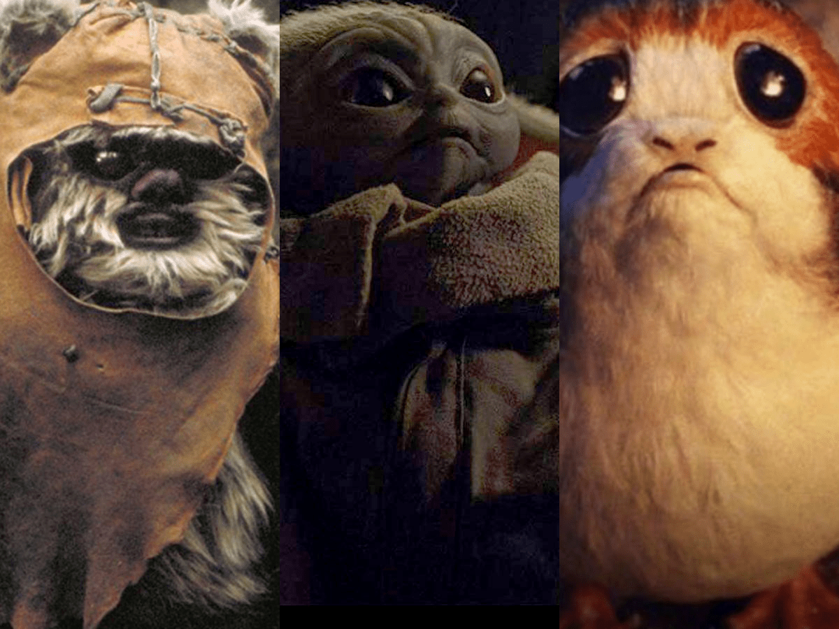 The 15 Cutest Creatures in the 'Star Wars' Universe, Ranked Business