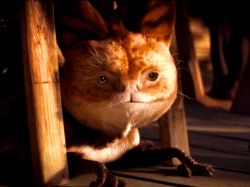 The 15 cutest creatures in the 'Star Wars' universe, ranked Business
