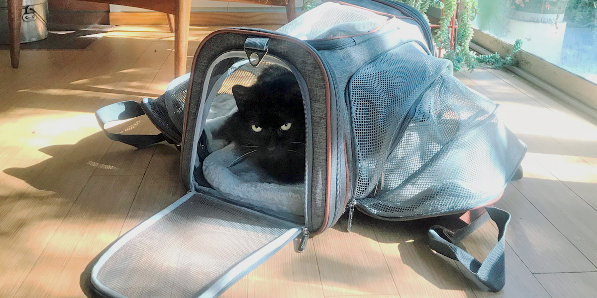 Mr. Peanut's Expandable Tote Is a Versatile AirlineApproved Pet Carrier