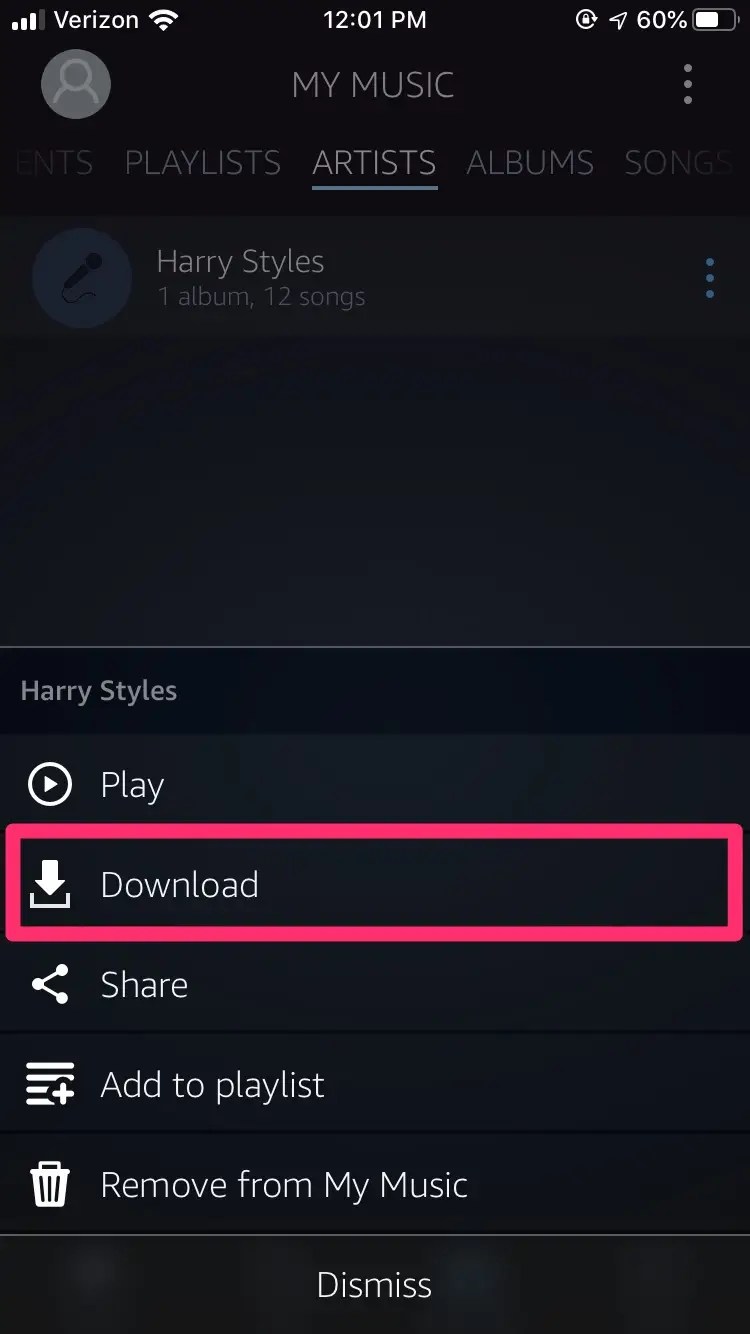 Amazon music player download pc pediadamer
