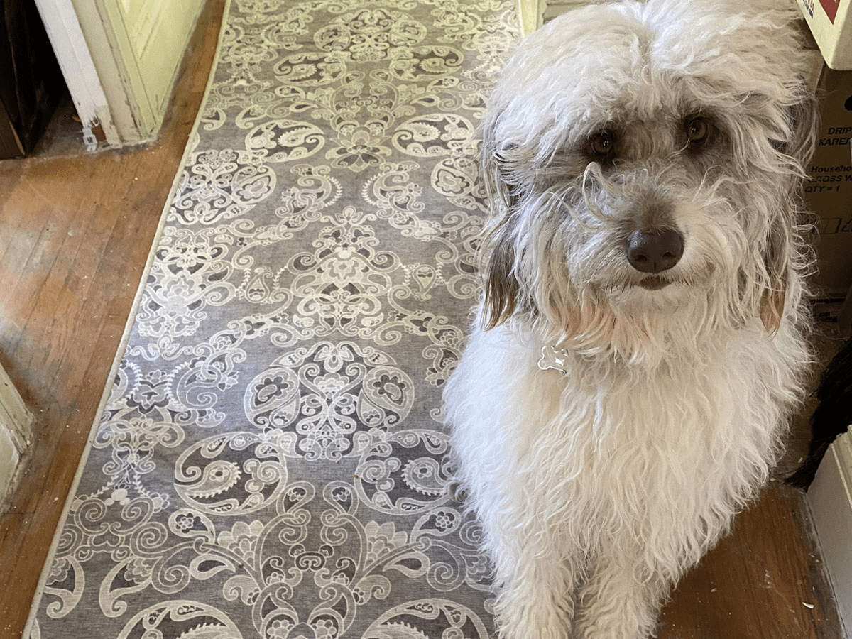 Ruggable's Washable Disney Rugs Feature Subtle Mickey & Minnie Designs