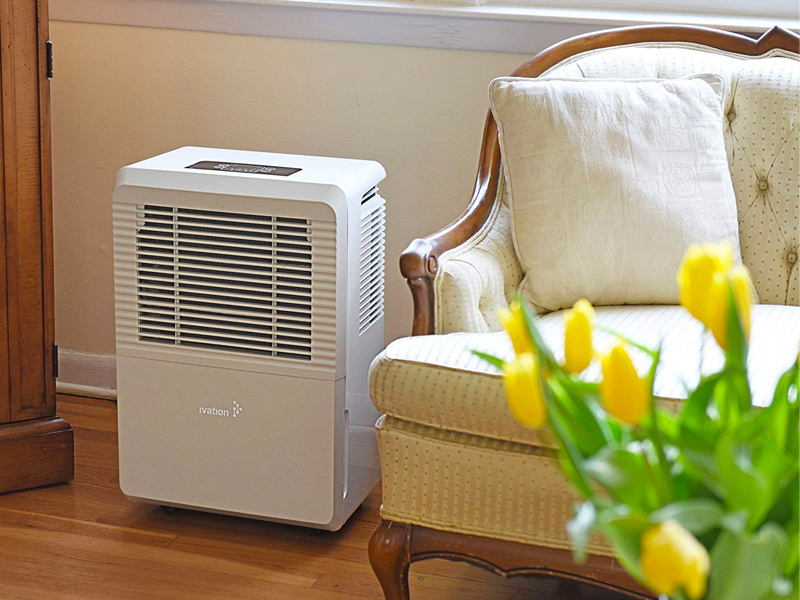 The 4 best dehumidifiers of 2021 LaptrinhX / News
