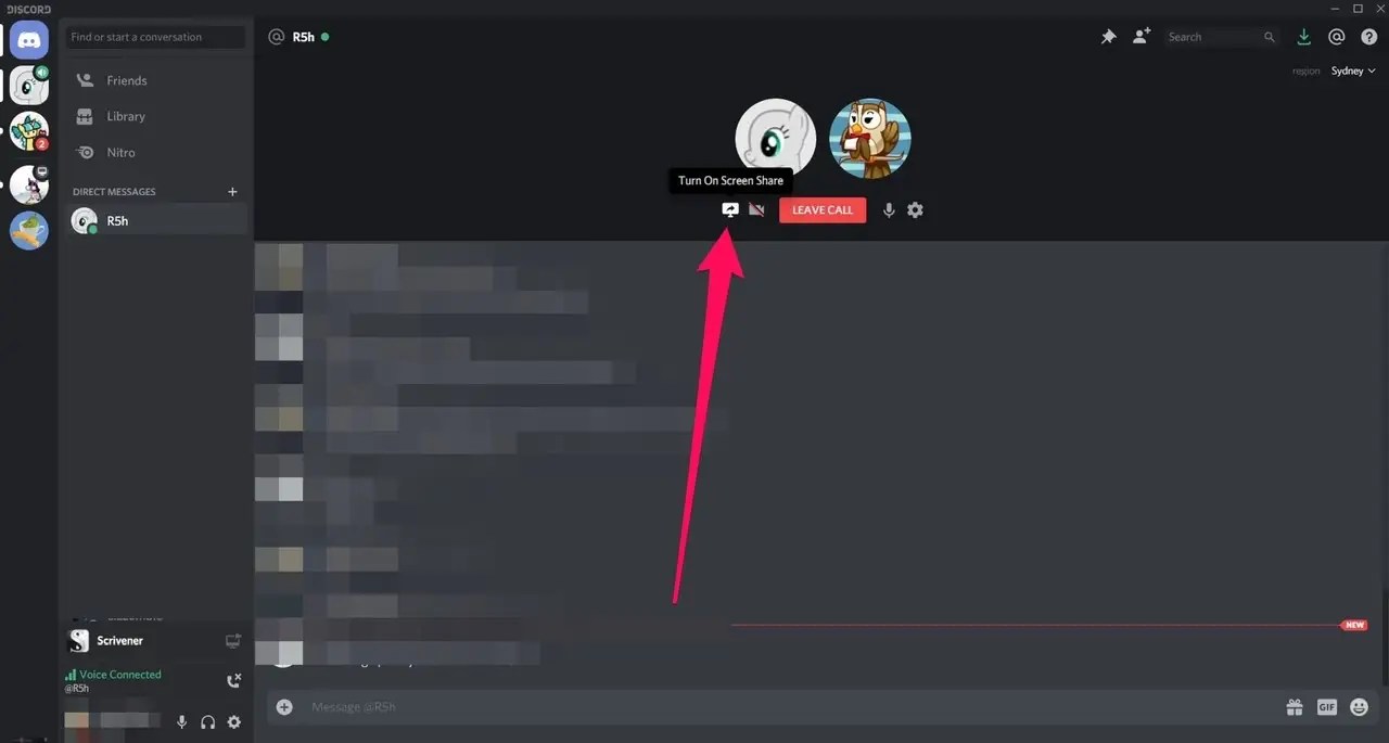 How to screen share on Discord using your computer Business Insider