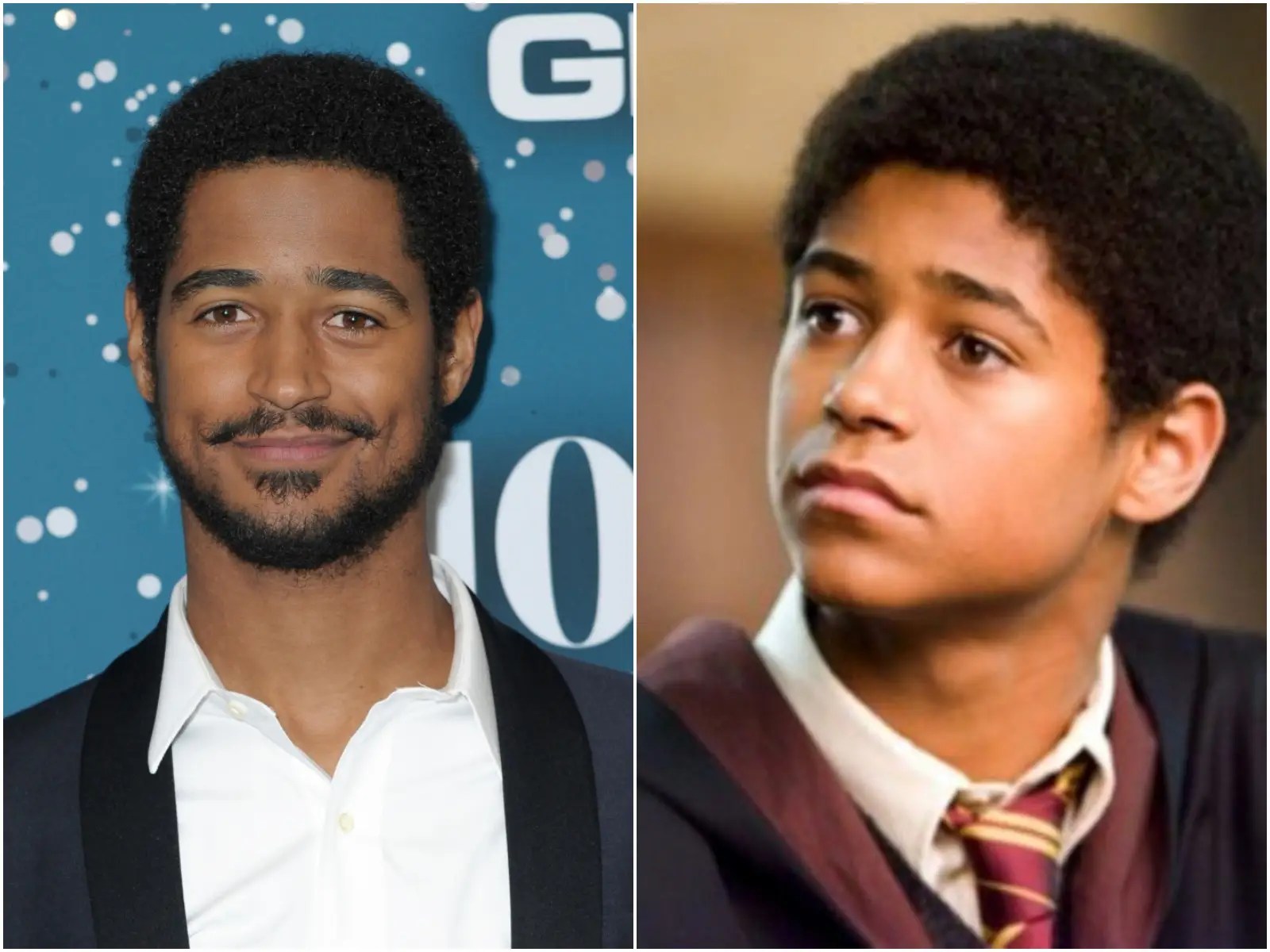 Former 'Harry Potter' Stars Ranked by Net Worth