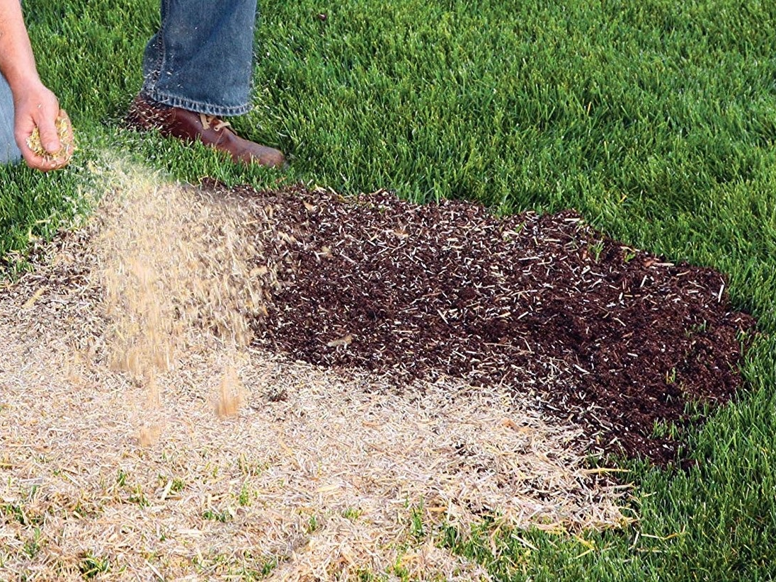 The 4 best garden mulches of 2021 LaptrinhX / News