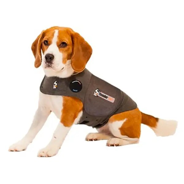 Best Dog Anxiety Vests in 2021