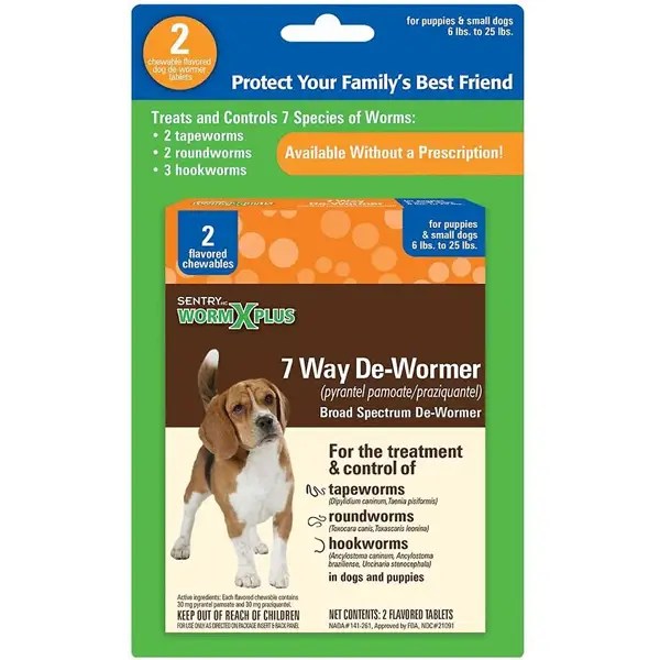 Best dog dewormers in 2021