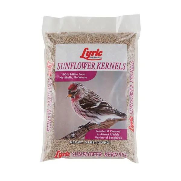 Best Wild Bird Seed and Food of 2021