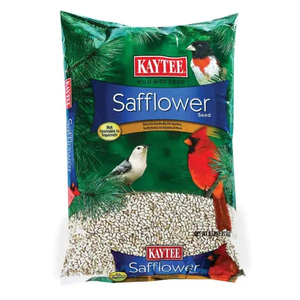 Best Wild Bird Seed and Food of 2021