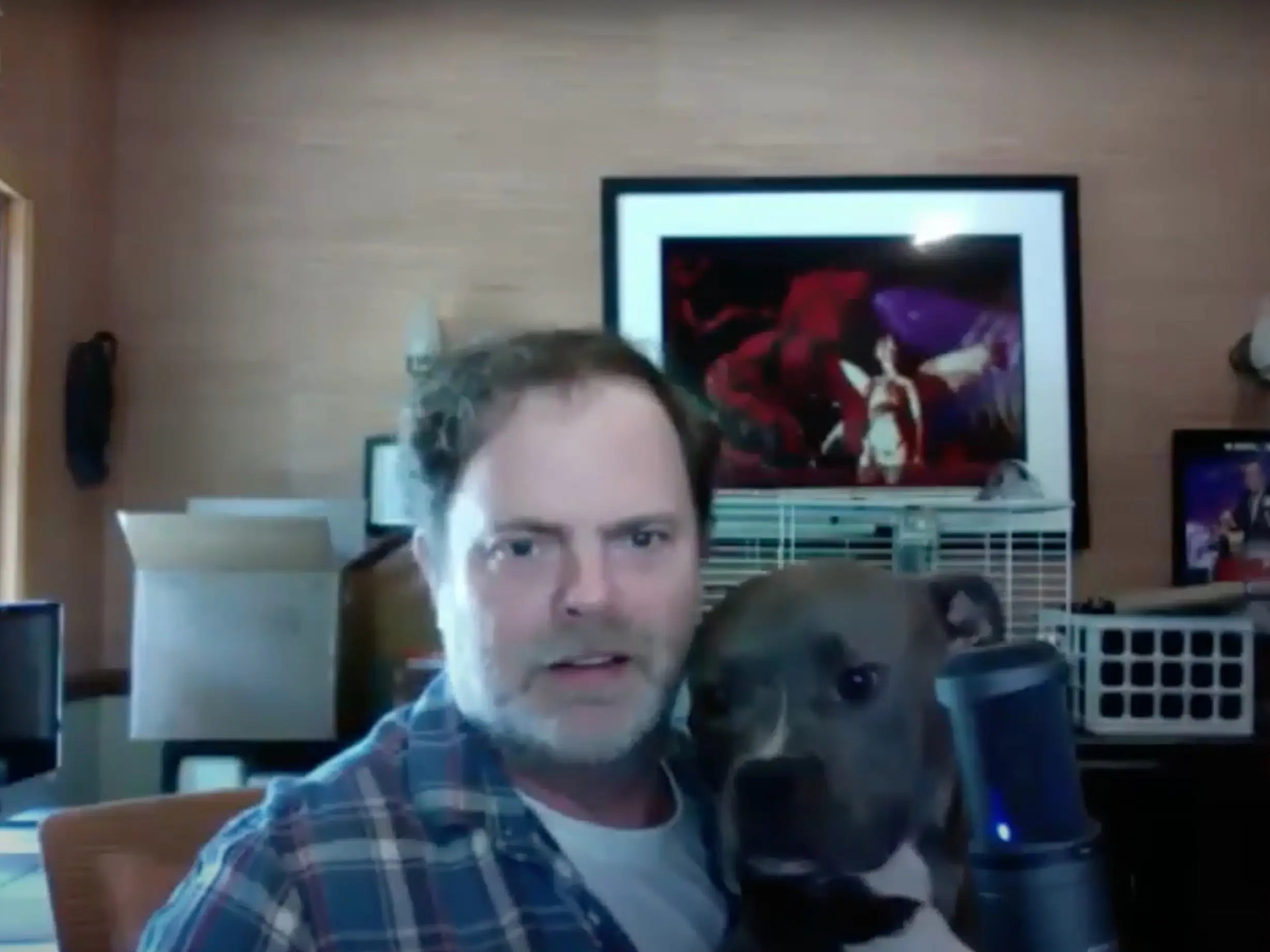 'Office' Star Rainn Wilson Hosts Zoom Call With 900 Pets Business Insider