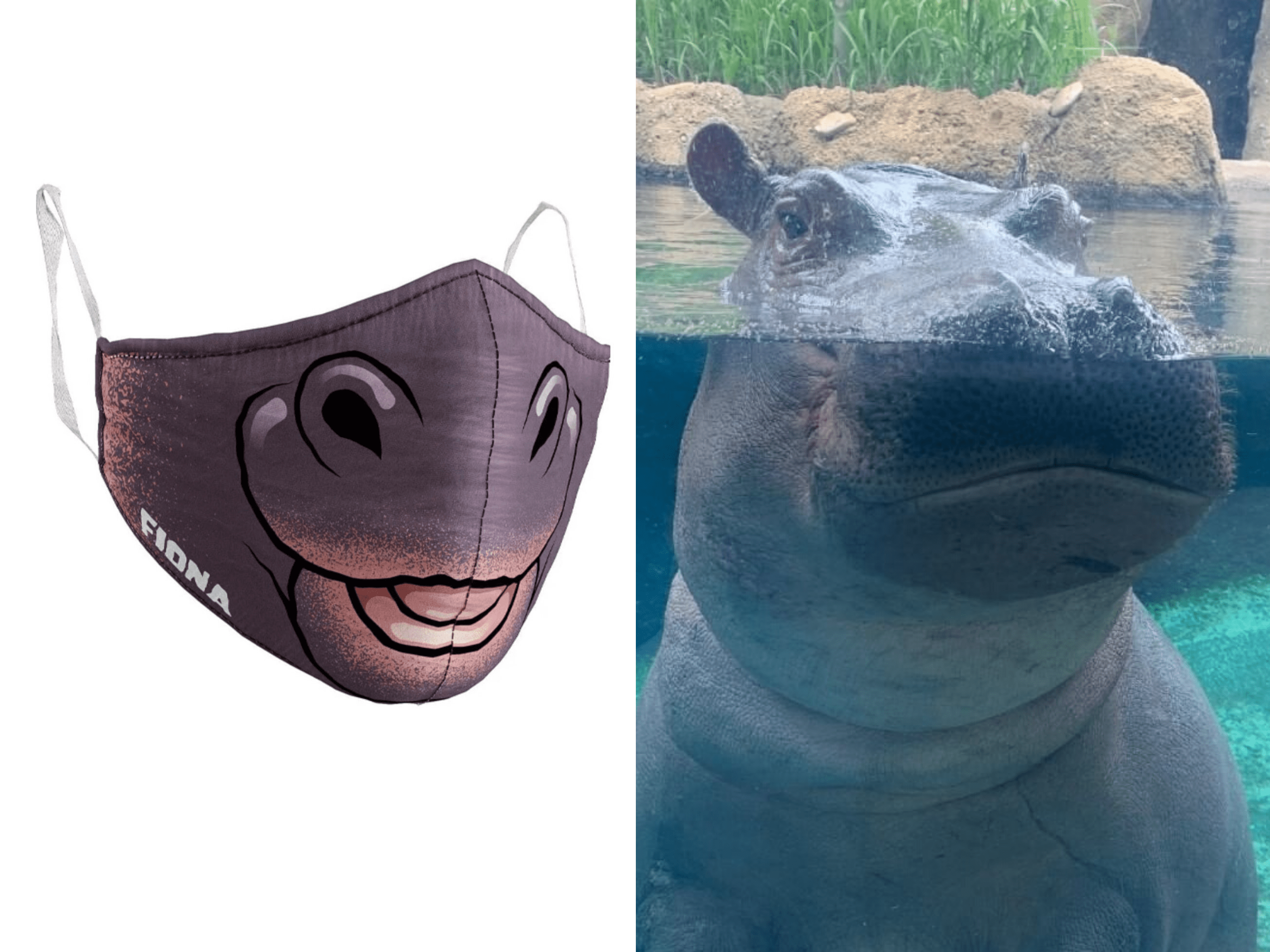 The Cincinnati Zoo Is Selling Face Masks of Fiona the Hippo's Snout