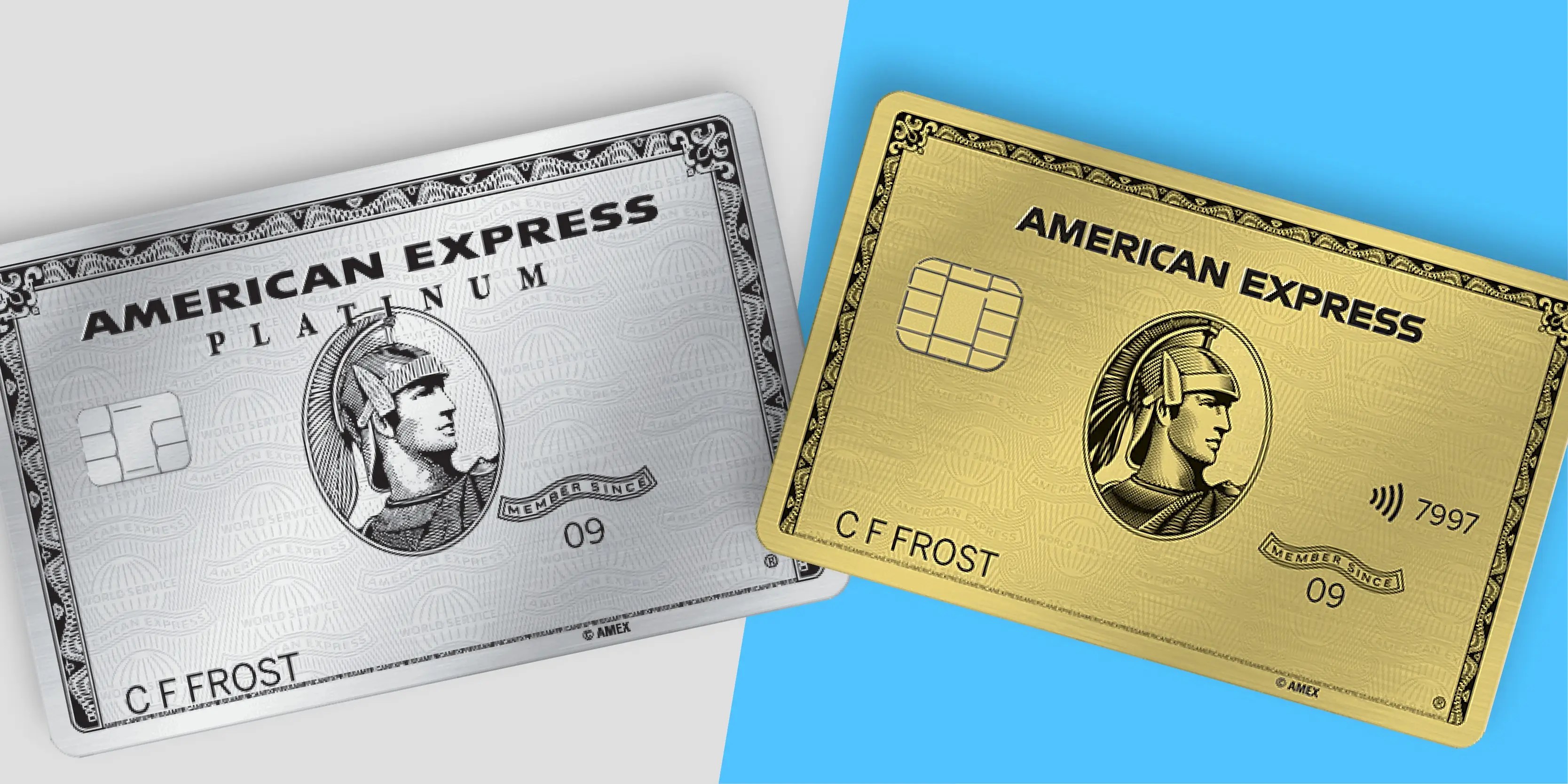 American Express Platinum vs Gold Which credit card is best? Business Insider