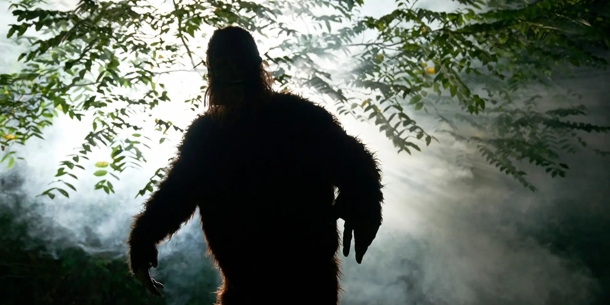 Bigfoot Just Photobombed a MillionDollar Listing on Zillow Business