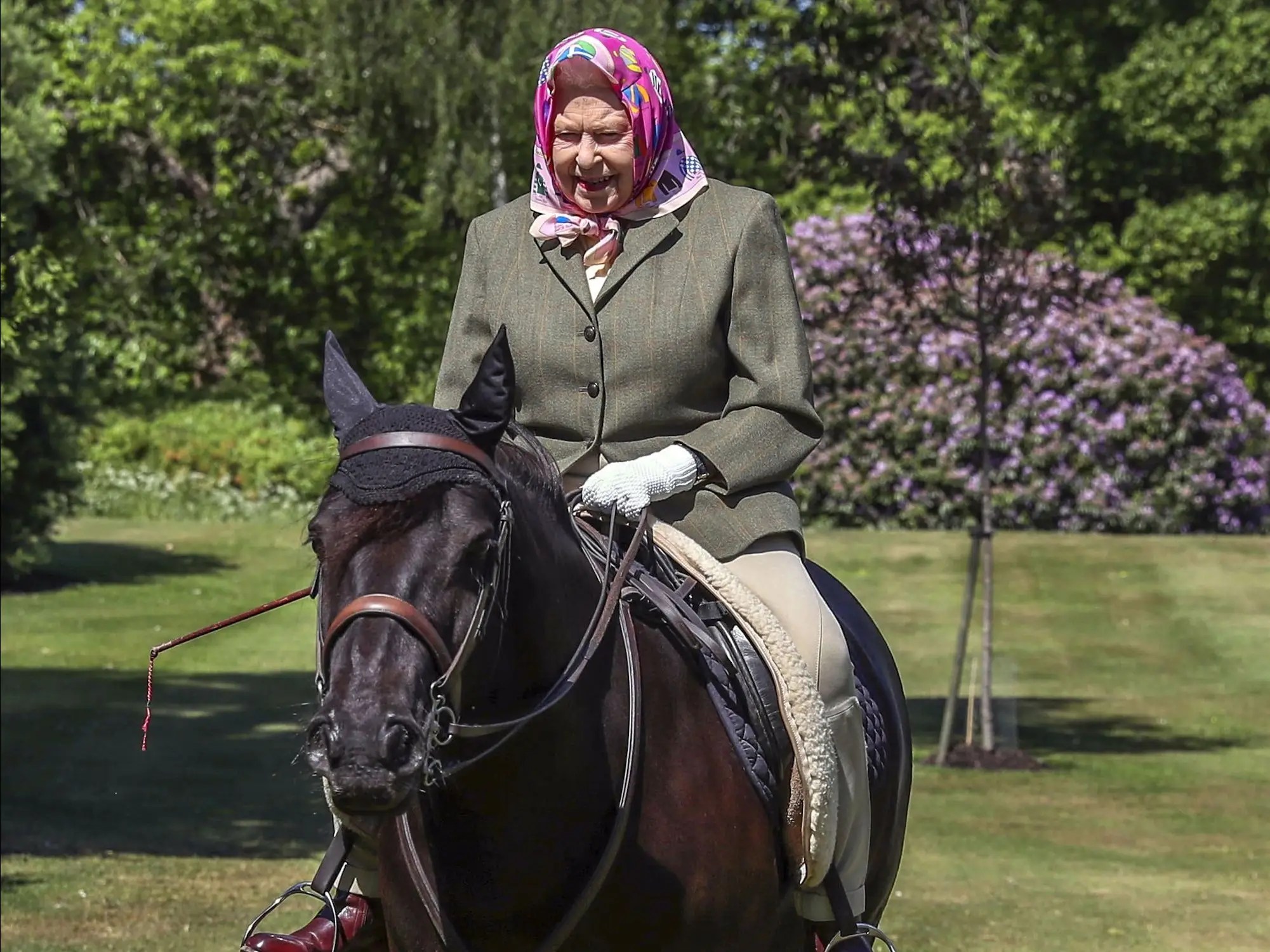 Photos 94YearOld Queen Horse Riding in Lockdown at Windsor Castle