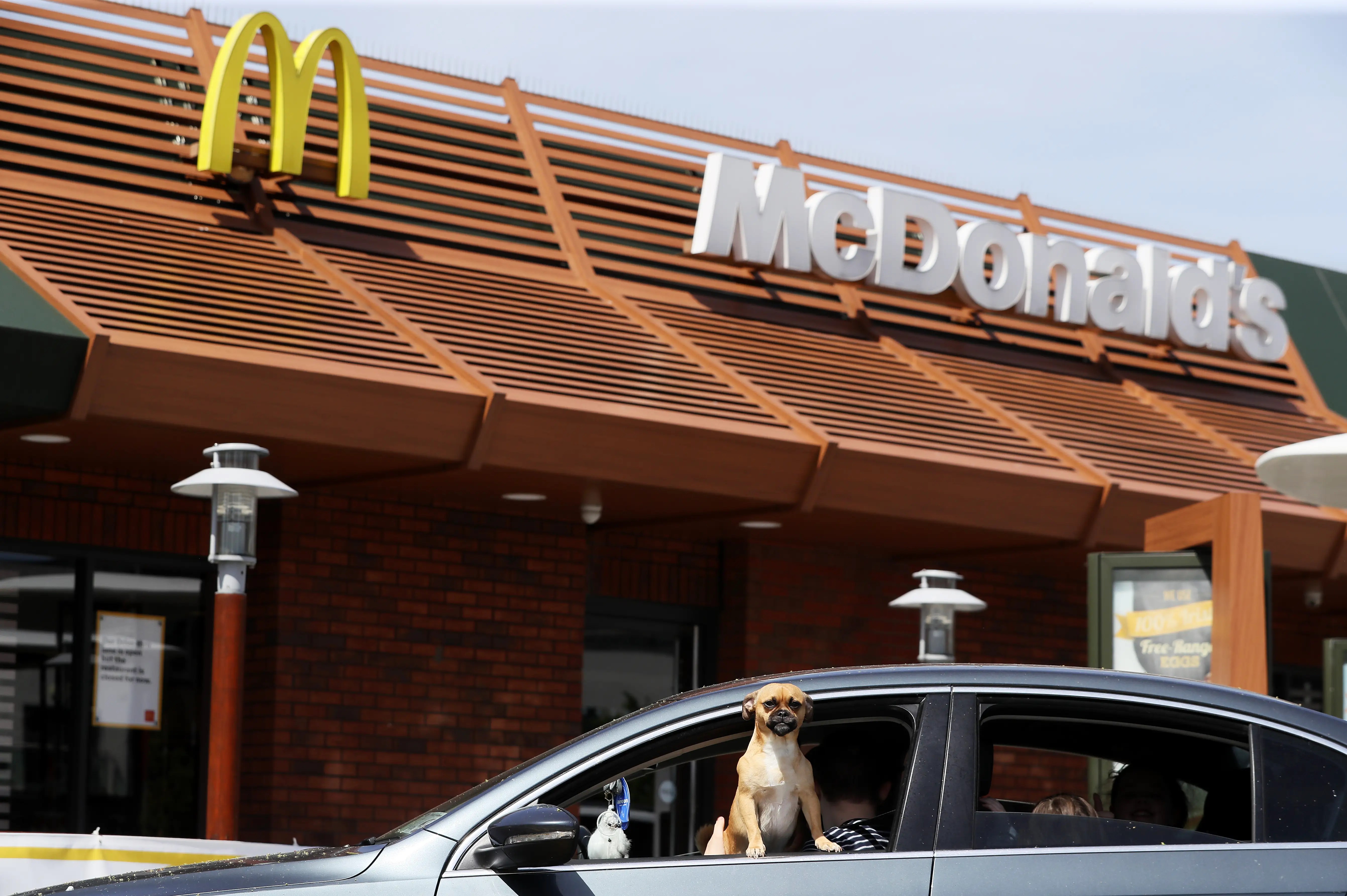 Giant lines and traffic jams form as McDonald's reopens hundreds of