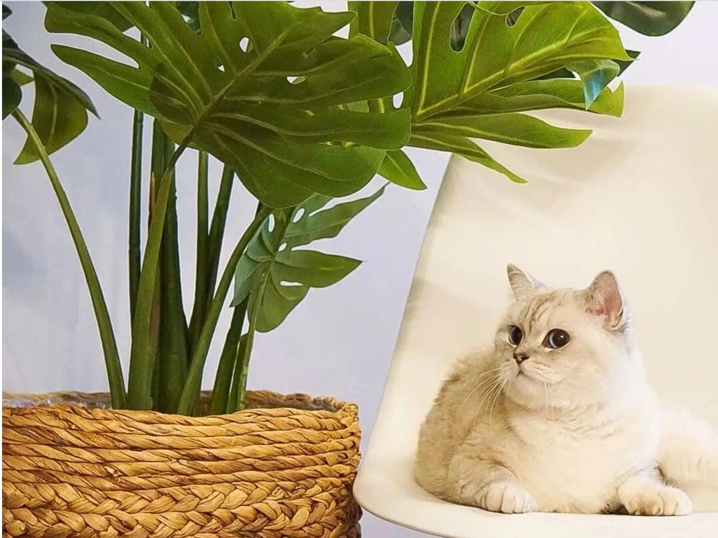 12 best places to buy fake plants online to liven up your space with no