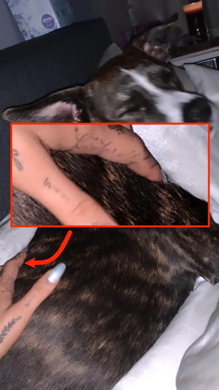 A Complete Guide To Ariana Grande's 55 Known Tattoos 1280_x_720_jpg