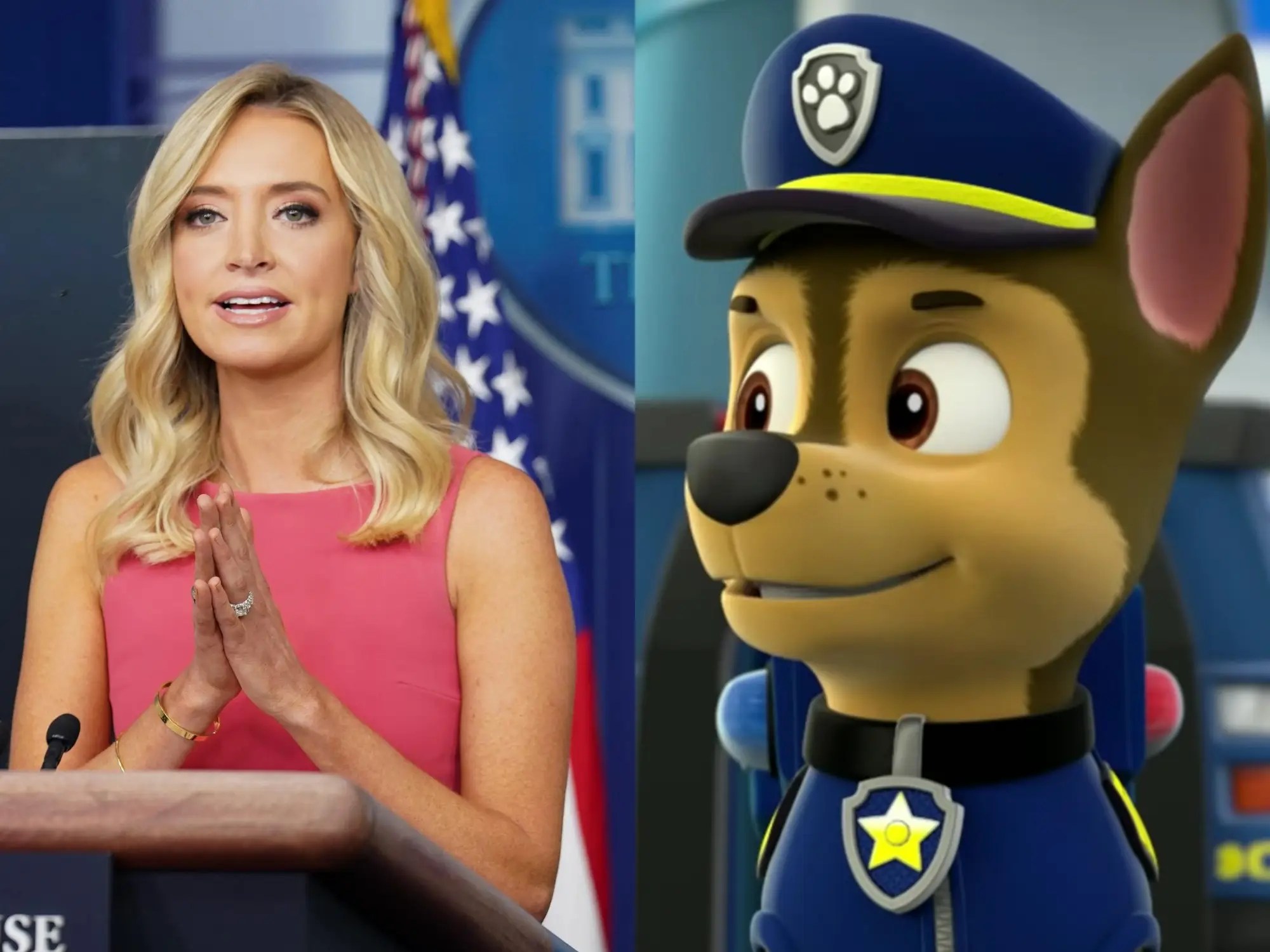 'Paw Patrol' Not Canceled Show Responds to False WH Press Sec Claim