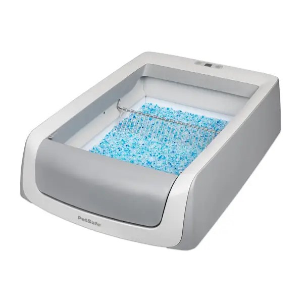 Best Cat Litter Boxes in 2021