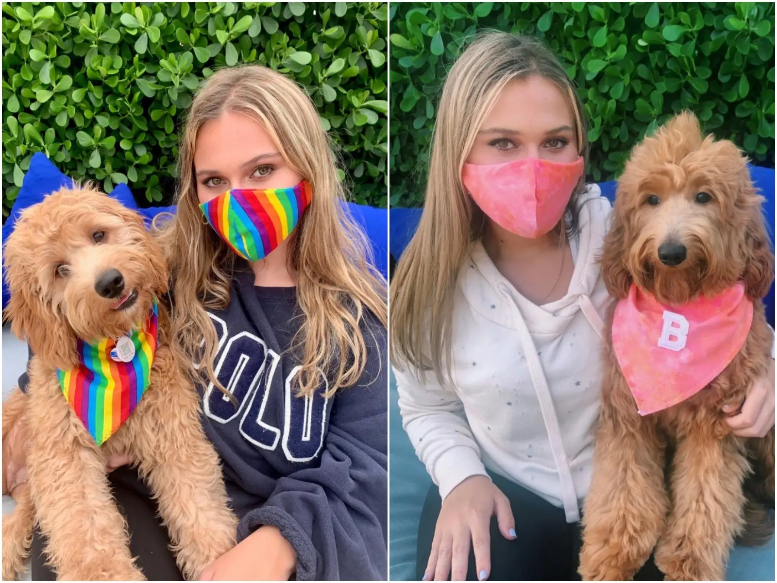 Why Do They Put Bandanas On Dogs