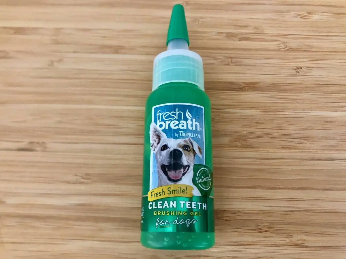 best dog tooth cleaner online