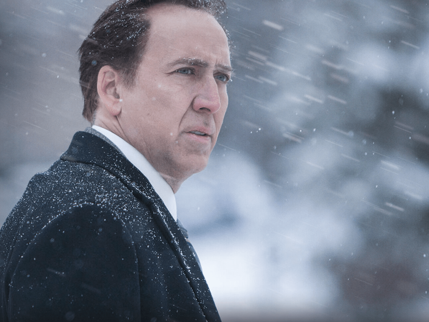 Top movies on Netflix this week 'Frozen Ground,' 'Quantum of Solace'