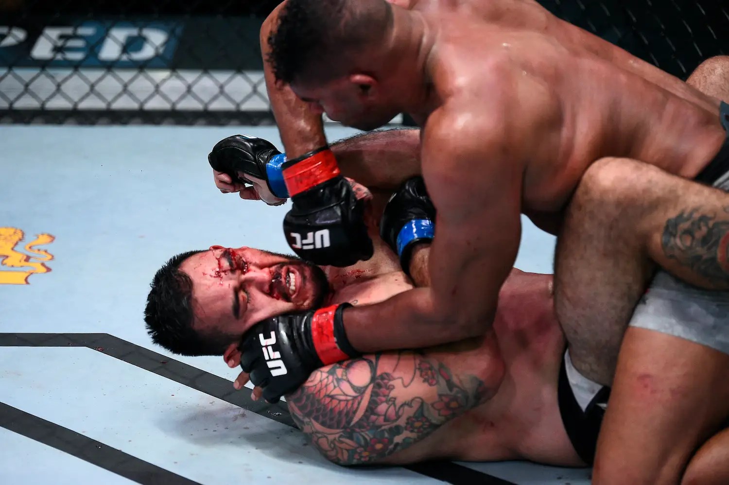Alistair Overeem scores a bloody KO win with ruthless groundandpound