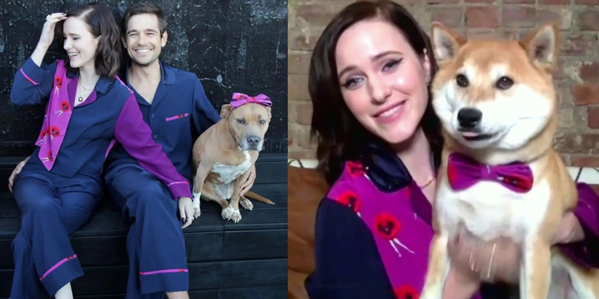 Emmys 2020 Rachel Brosnahan Matched Her Dog During the Ceremony