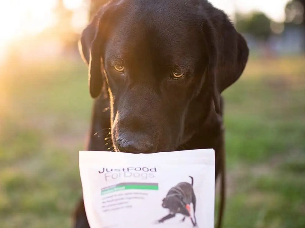 Prime members can support small businesses that sell on Amazon and earn