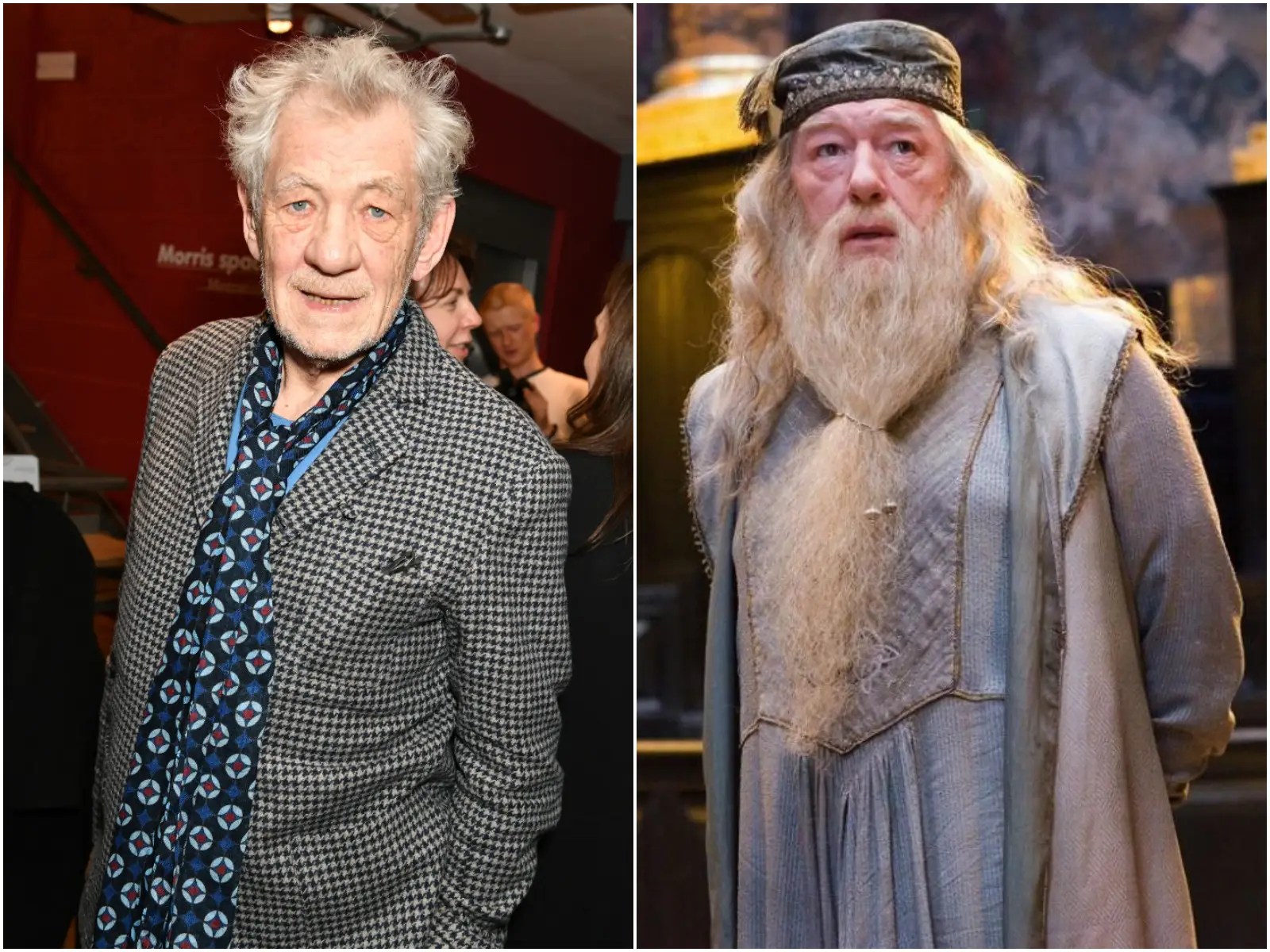 Harry Potter The Actors Who Almost Played Dumbledore