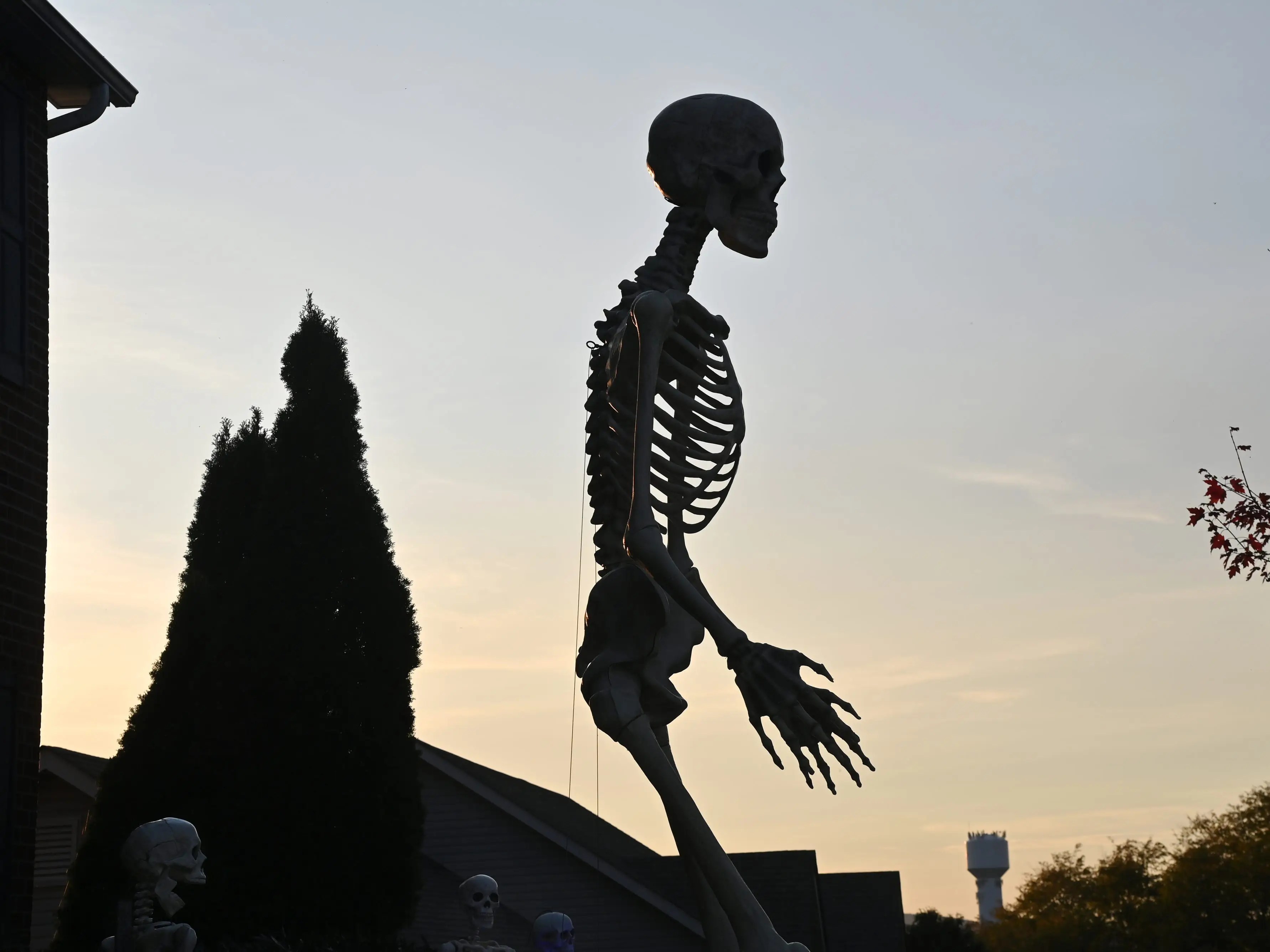 Home Depot's famous giant skeletons keep getting stolen from front