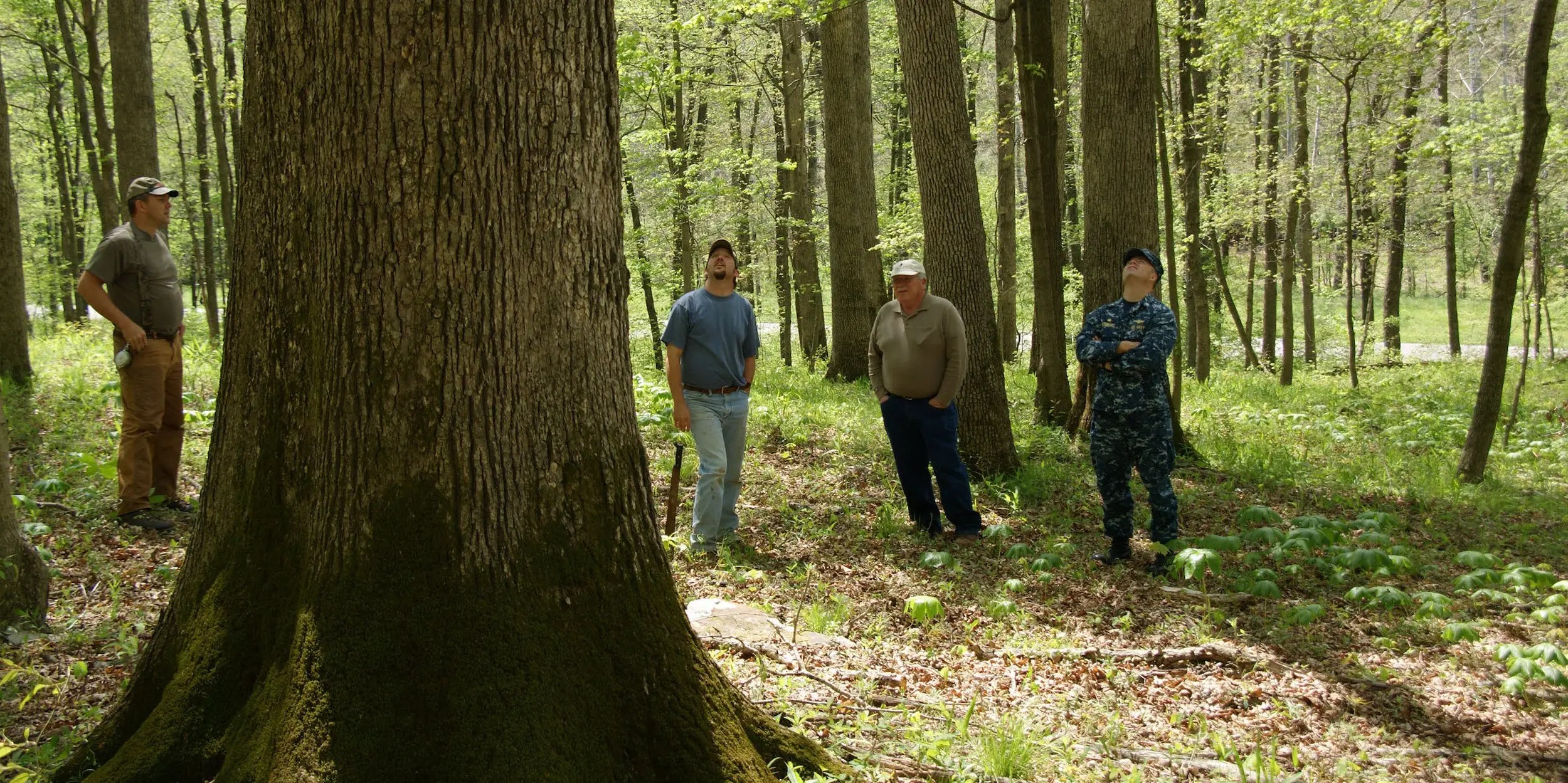 Why the Navy has its own private forest in the middle of Indiana