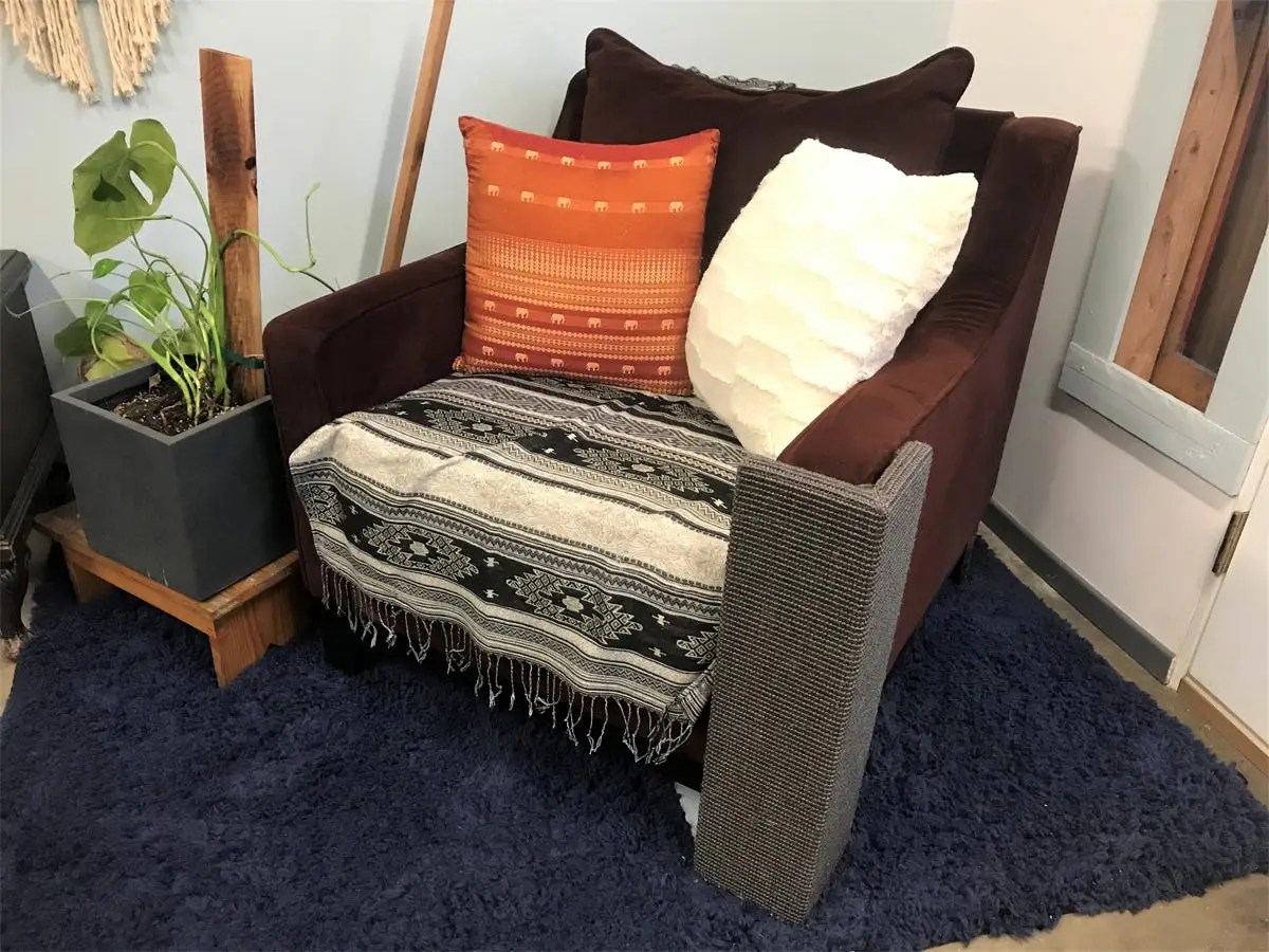 How To Keep Dog From Rubbing On Furniture