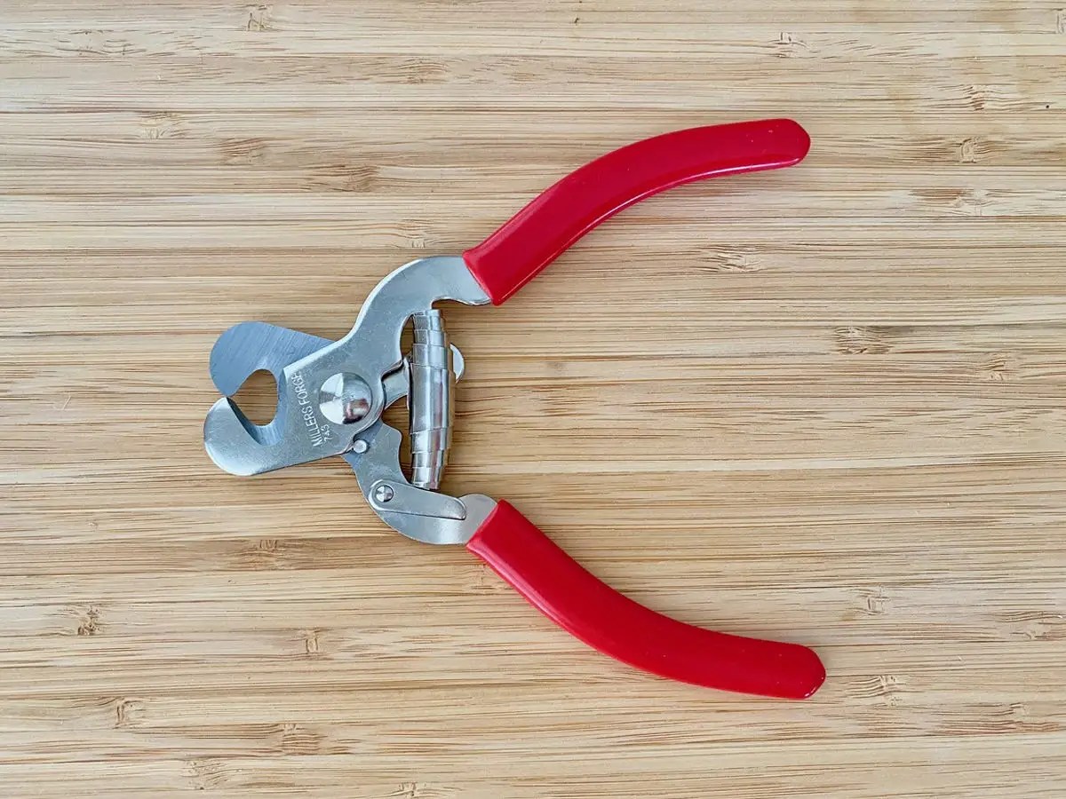 Are Dog Nail Grinders Good