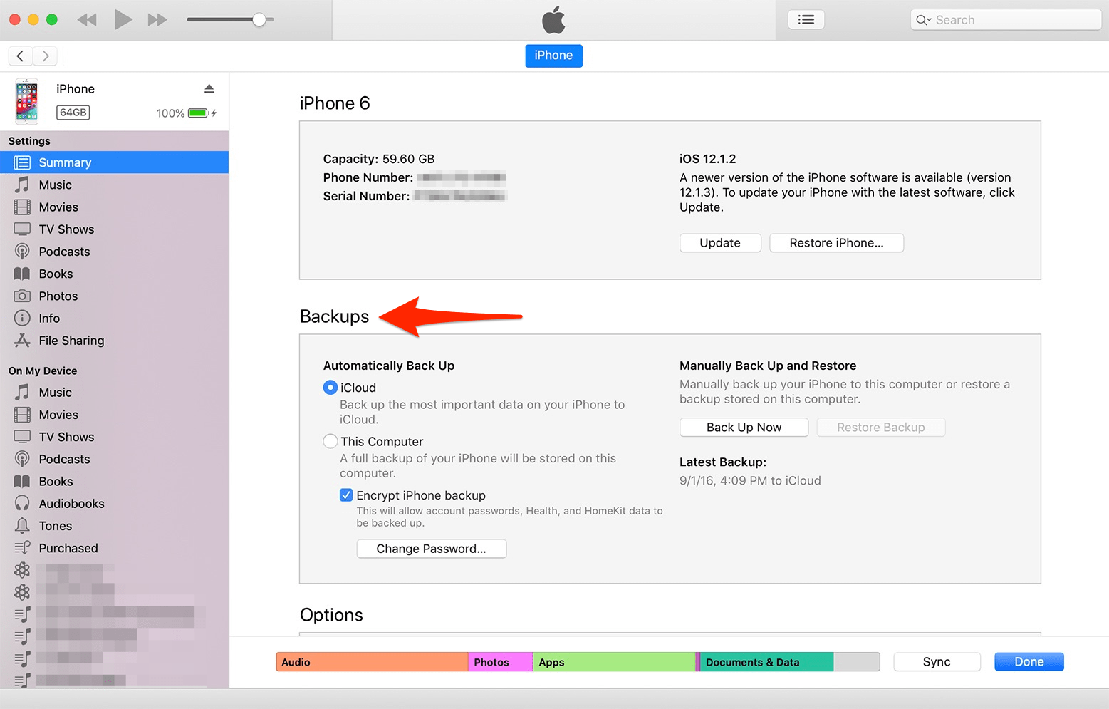 How to backup an iPhone to iCloud, to a computer through iTunes, or to