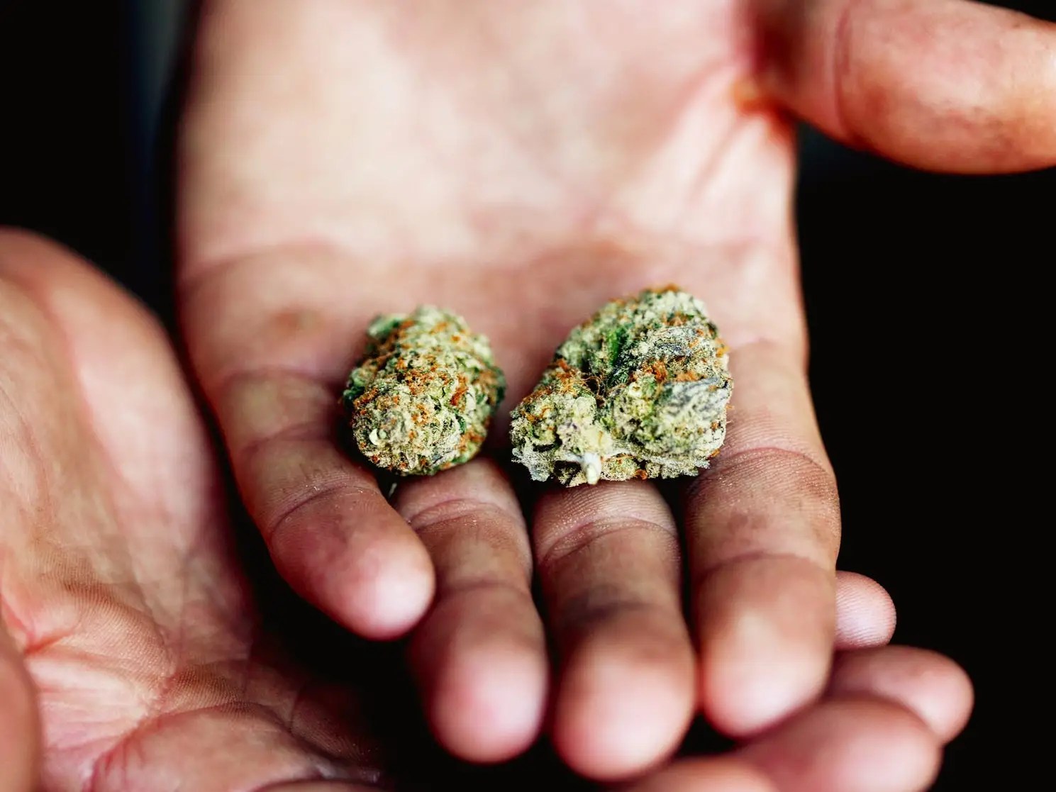 Diseases Caused By Smoking Weed