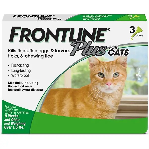 Fleas can harm cats, so a pet expert recommends the safest flea prenvetion using trusted vet guidance