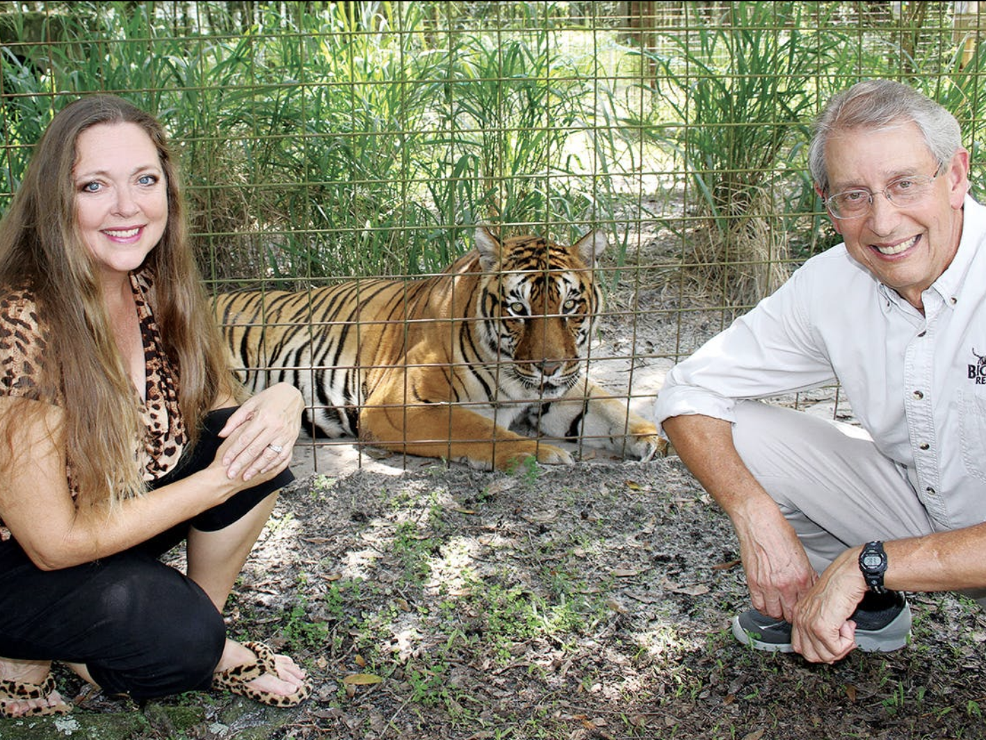 A Volunteer Was Bitten by a Tiger at Carole Baskin's Big Cat Rescue