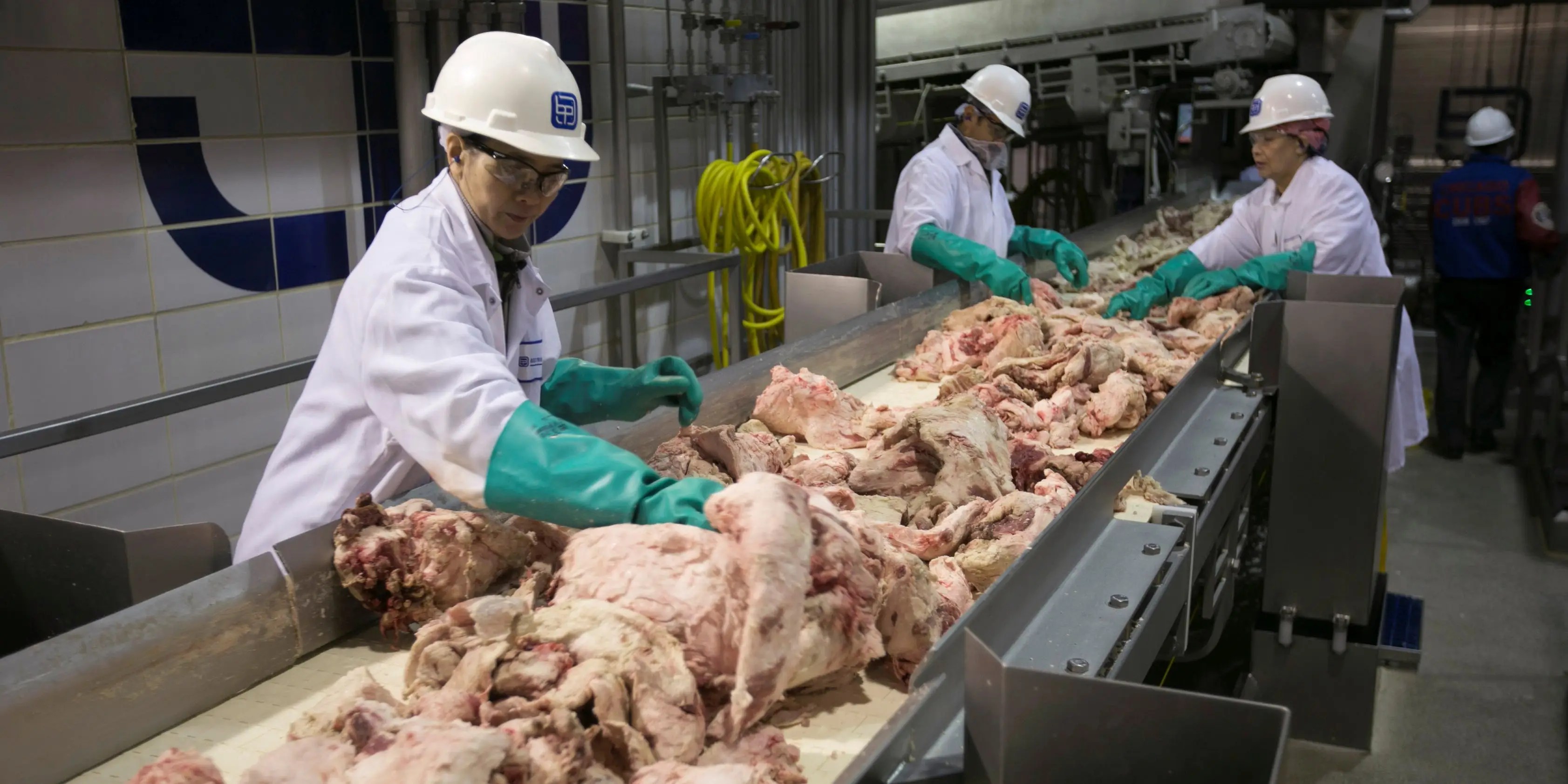 COVID19 Horror Stories at Meat Industry Factories Aren't Surprising