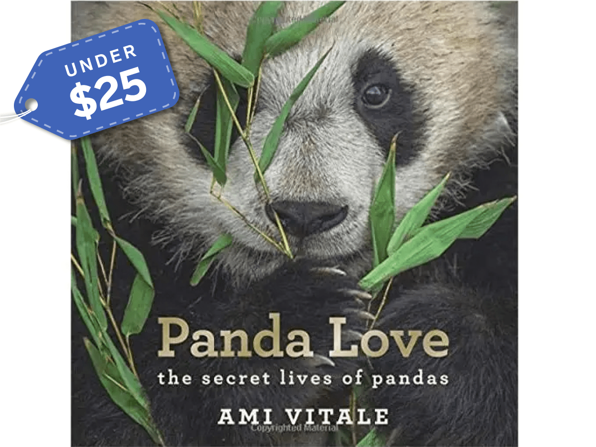 35 beautiful coffee table books to give as gifts in 2021