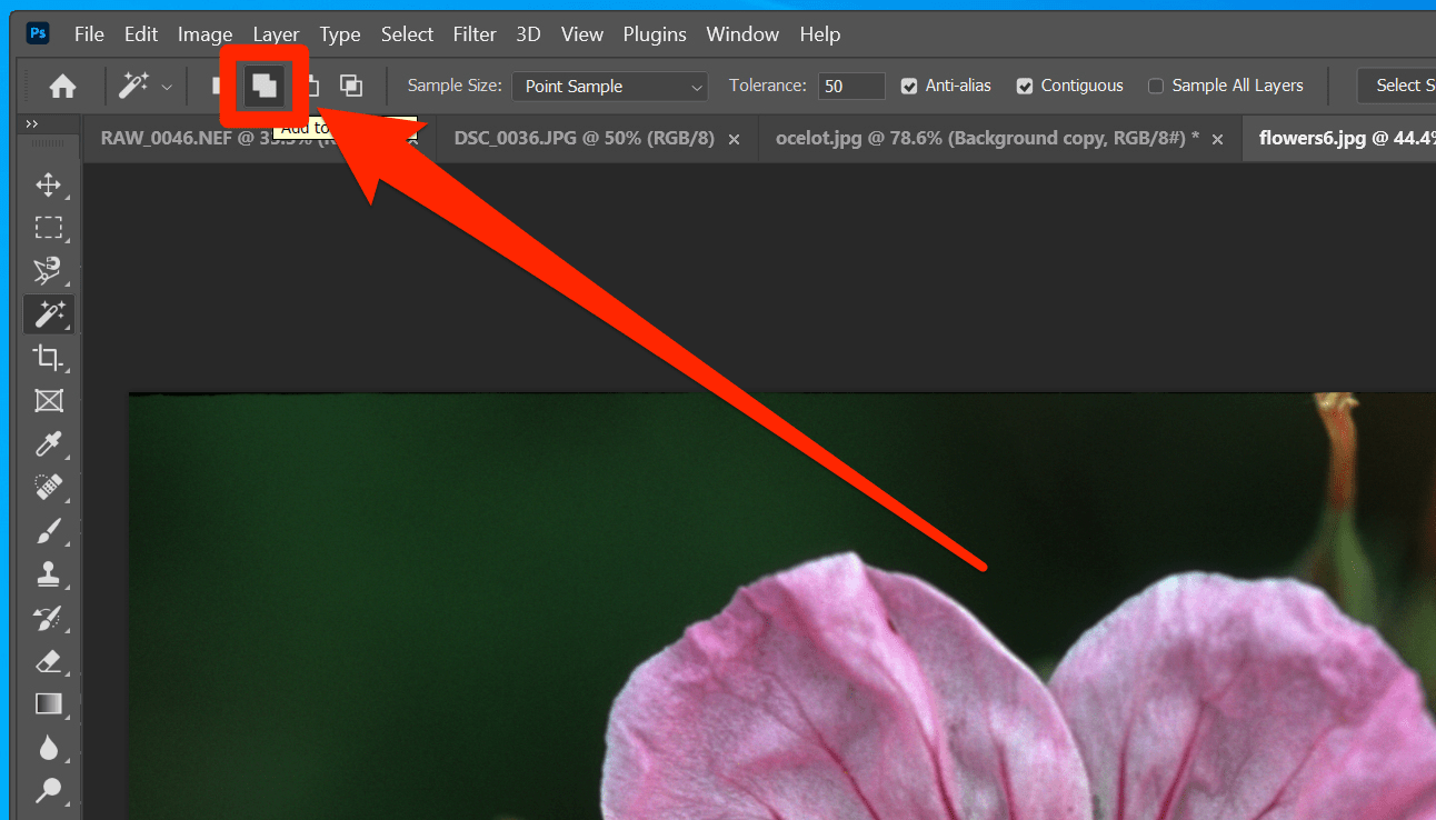 How to use the Magic Wand tool in to easily edit backgrounds