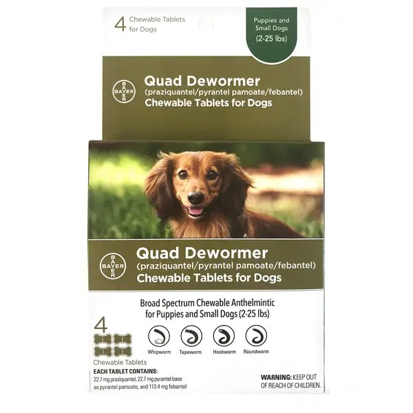 Best dog dewormers in 2021