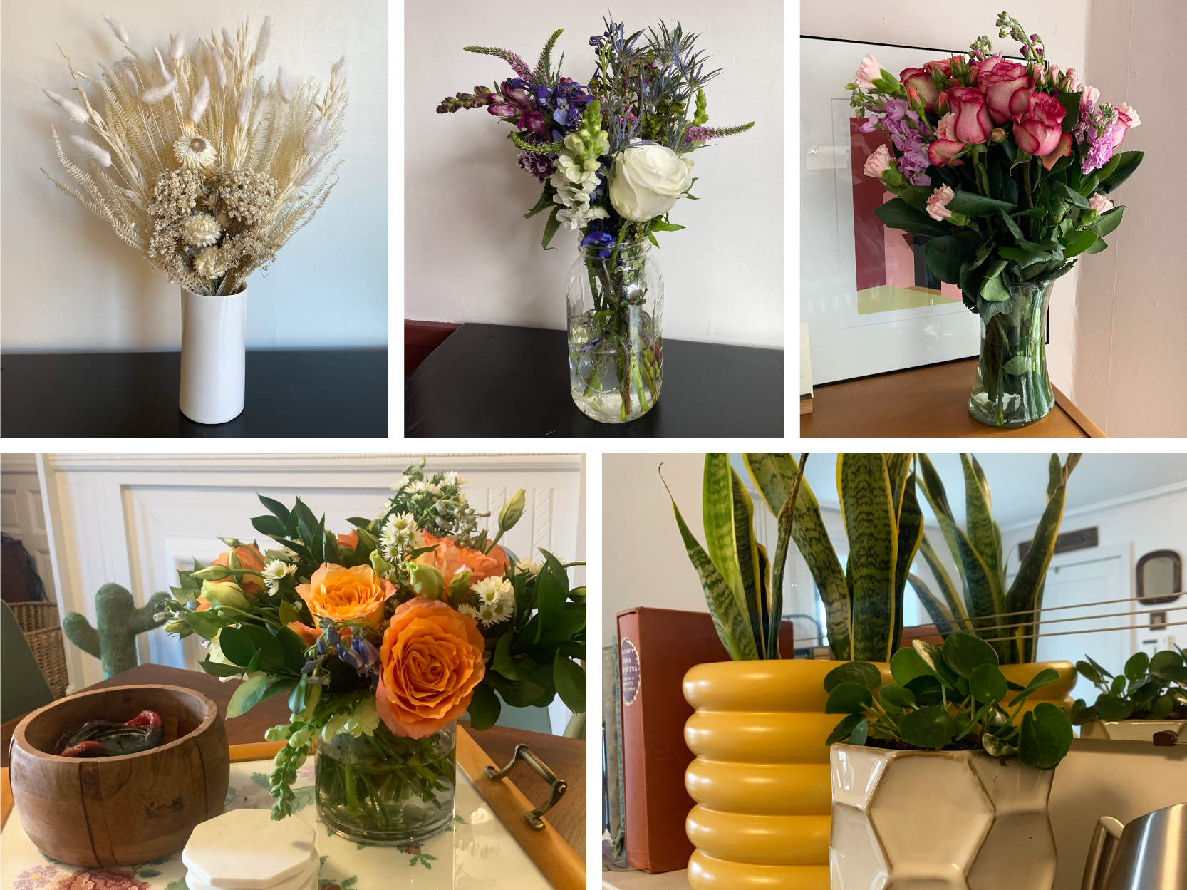 Beatrice J. Peraza Dc House Of Flowers Reviews / Springfield Florist Flower Delivery By House