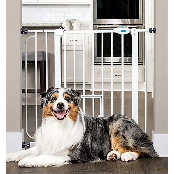 Best Dog Gates For Small Dogs Fepitchon