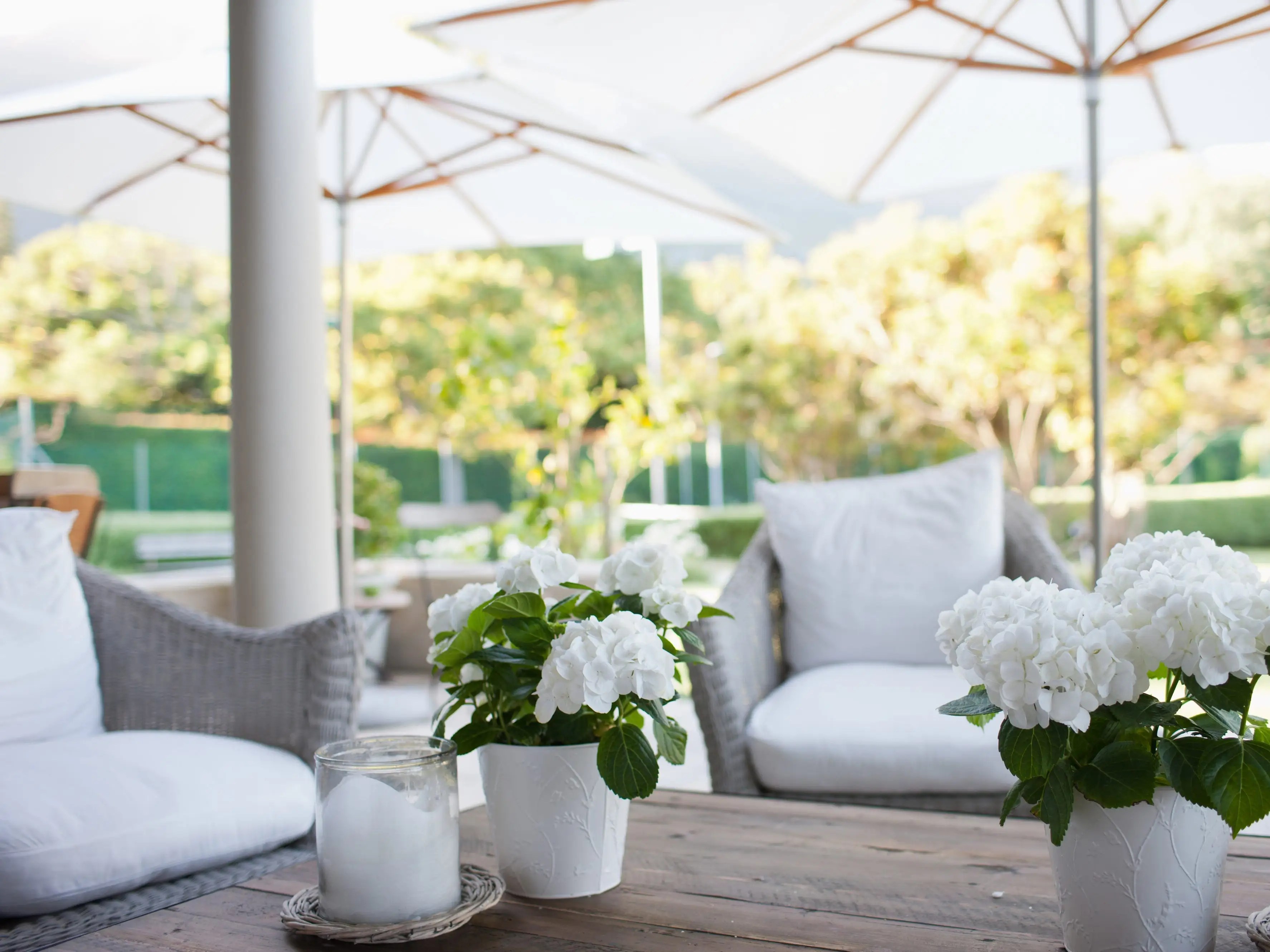 The 5 best outdoor gazebos of 2021 LaptrinhX / News