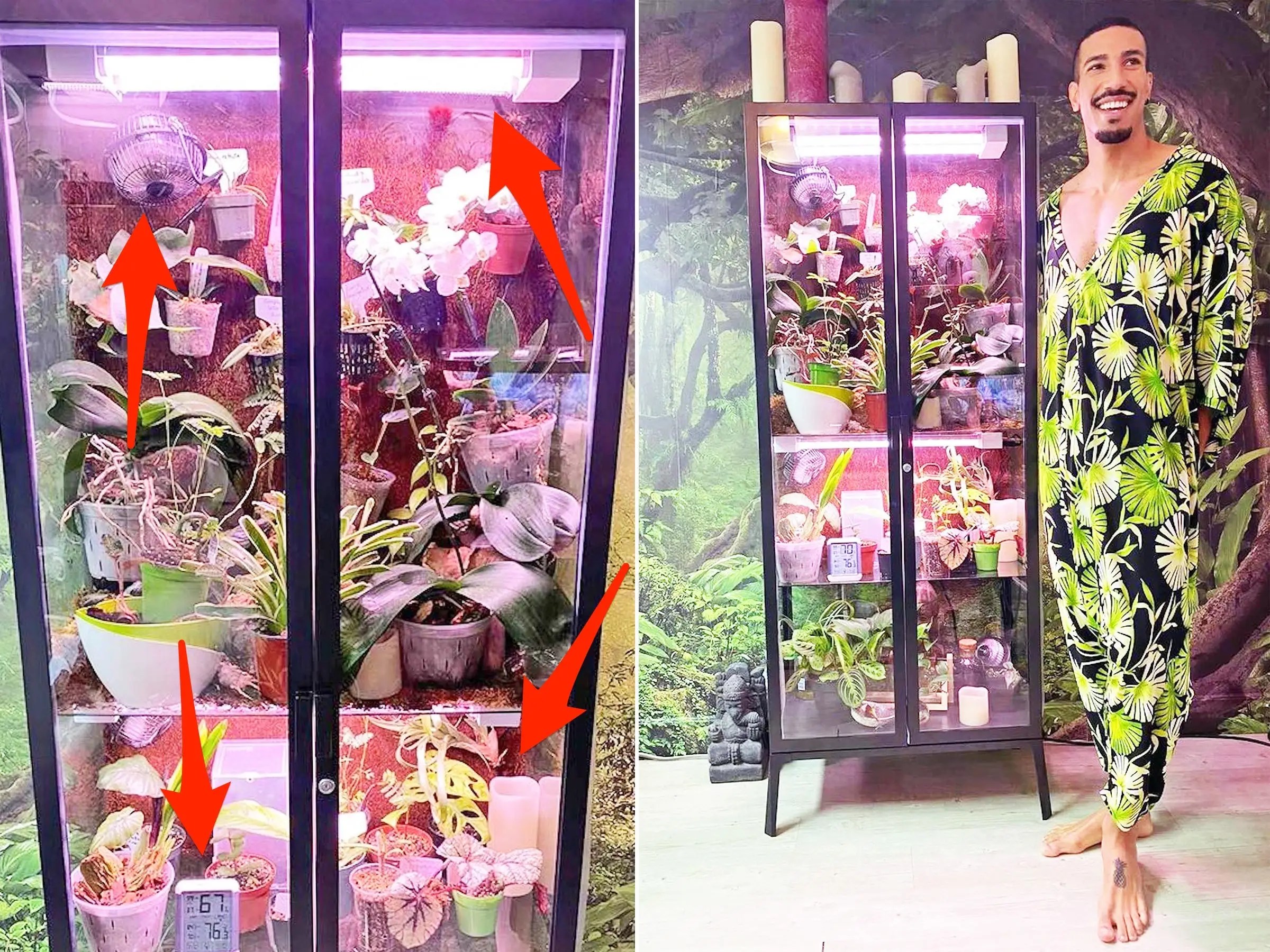 People are turning a 200 Ikea into DIY greenhouses for indoor
