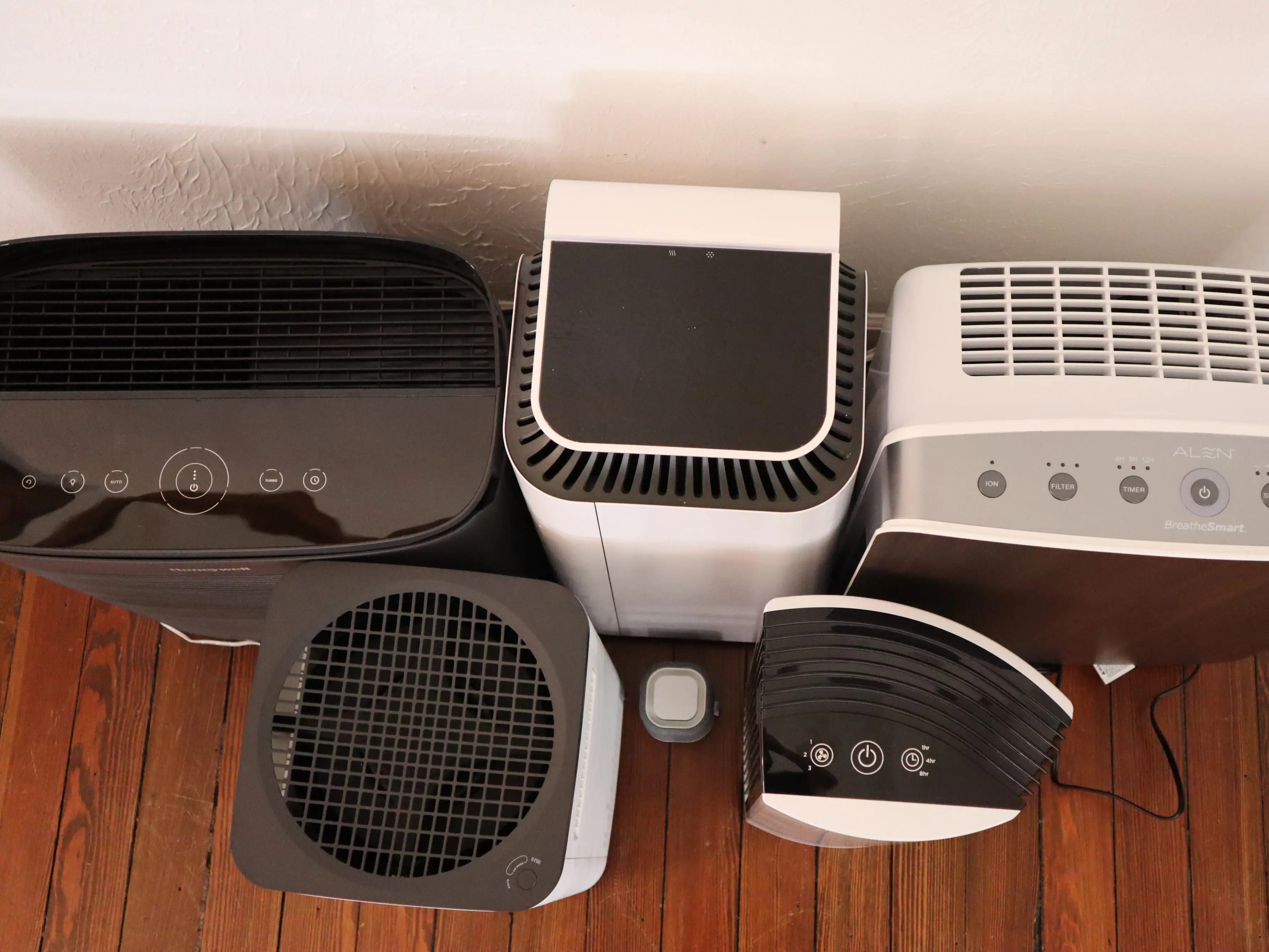 Are Ozone Air Purifiers Safe Around Dogs